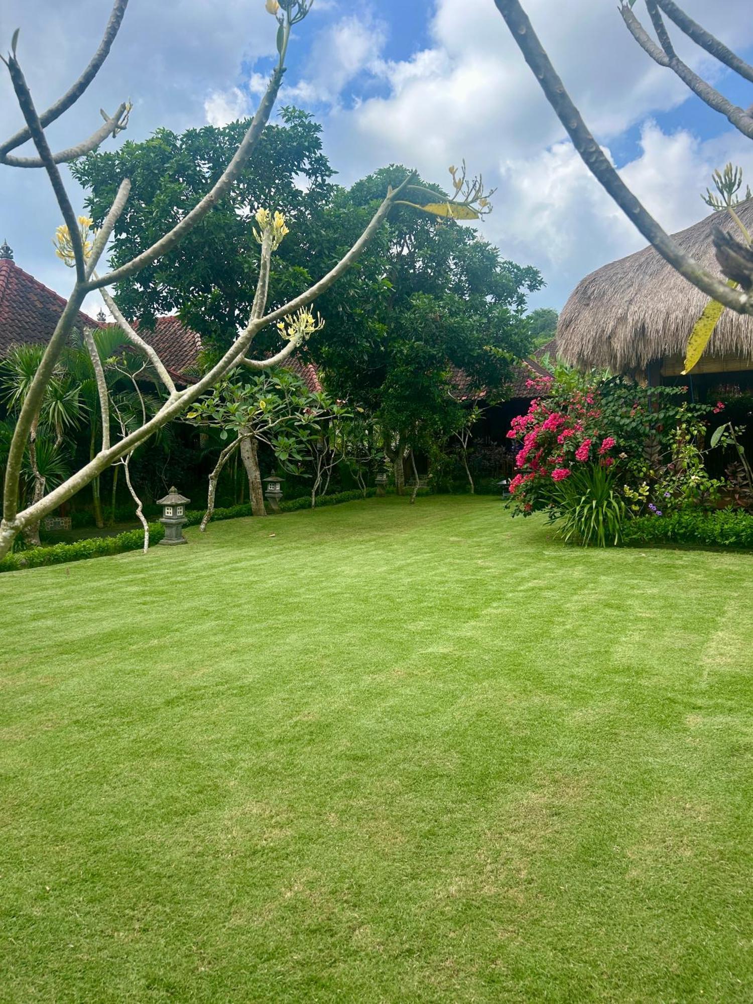 Island Garden Huts Lembongan Bed & Breakfast Exterior photo